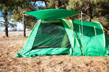 Yeşil çam çadırda woo