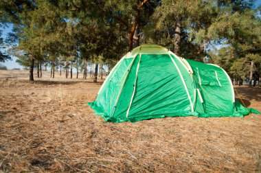 Yeşil çam çadırda woo