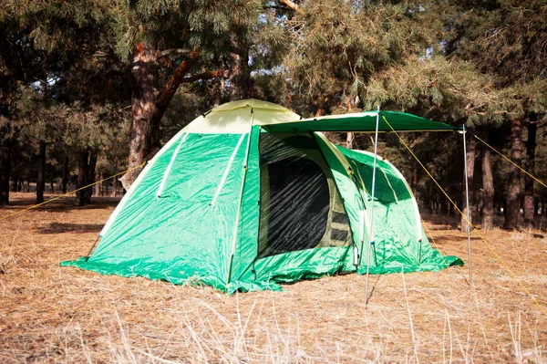 Green tent in the pine woo — Stock Photo, Image