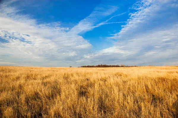 Blue sky, yellow plai