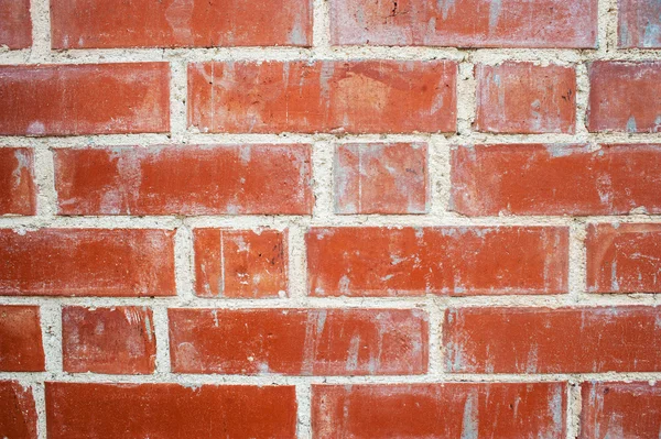 Brick wall, macro — Stock Photo, Image