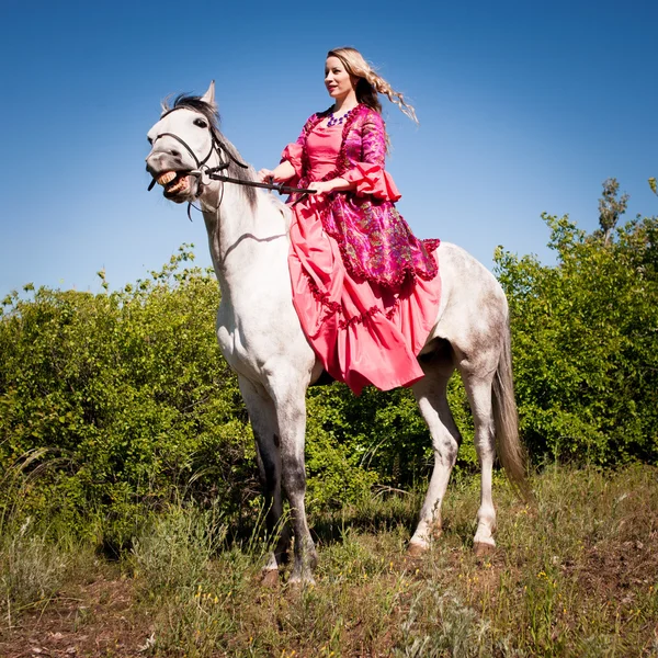 Caballo en caballo blanco — Foto de Stock