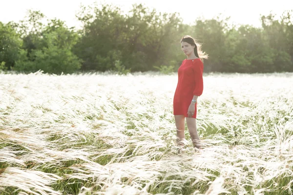 Pretty woman in feather-grass field — Stock Photo, Image