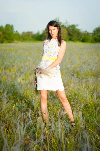 Mooie vrouw met boeket van veer-grass — Stockfoto