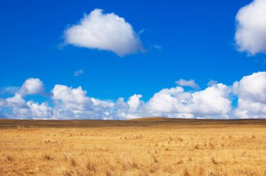 Mavi gökyüzü, sarı alan