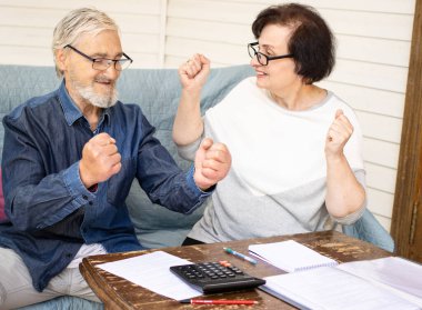 Mutlu son sınıf çifti, faturaları hesapladıktan ya da yurt içi mali durumlarını kontrol ettikten sonra yumruk yumruğa zafer jesti yapmaktan memnuniyet duyardı. Ev terasında kanepede oturmak. Şaşırmış, kutlama zaferi, başarı hissi.