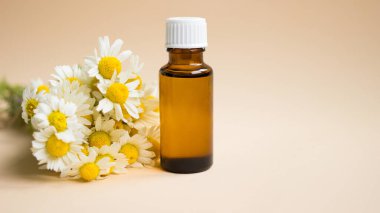 Açık bej arka planda taze papatya çiçekleri olan küçük bir bardak papatya yağı. Papatya çiçekleri, yaklaşın. Kozmetik, spa, aromaterapi ve bitkisel ilaç malzemeleri.