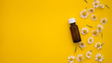 Düz kompozisyon papatya çiçekleri, taç yaprakları ve sarı zemin üzerinde gerekli yağ bulunan küçük cam şişe. Spa, organik kozmetik kavramı. Romaterapi ve bitkisel ilaç malzemeleri.