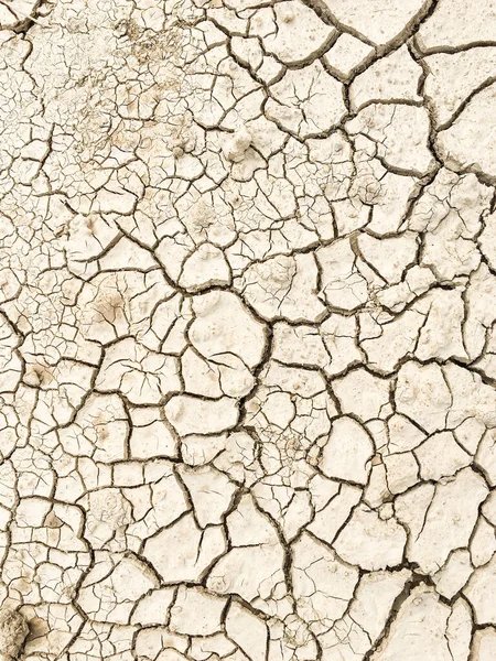 Dry cracked earth texture, wallpaper, patterns — Stock Photo, Image