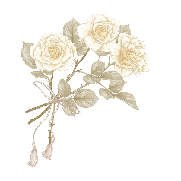 バラの花束。古典的な植物画 — ストックベクタ