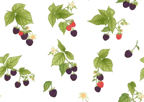 Blackberry. Reife Beeren am Zweig. Nahtloses Muster, Hintergrund. — Stockvektor