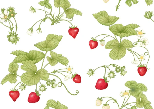 Erdbeere. Reife Beeren. Nahtloses Muster — Stockvektor