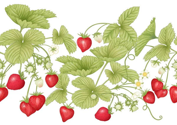 Strawberry. Ripe berries. Seamless pattern — Stock Vector