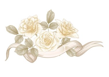 Bir buket gül. Klasik botanik çizimi