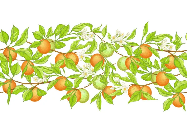 Gałąź pomarańczowa z owocami, kwiatami i liśćmi. — Wektor stockowy
