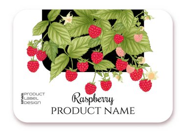 Ahududu. Olgun böğürtlen dalında. Ürün etiketi için şablon