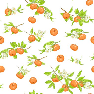 Mandalina, mandallı meyve, çiçek ve yapraklı..