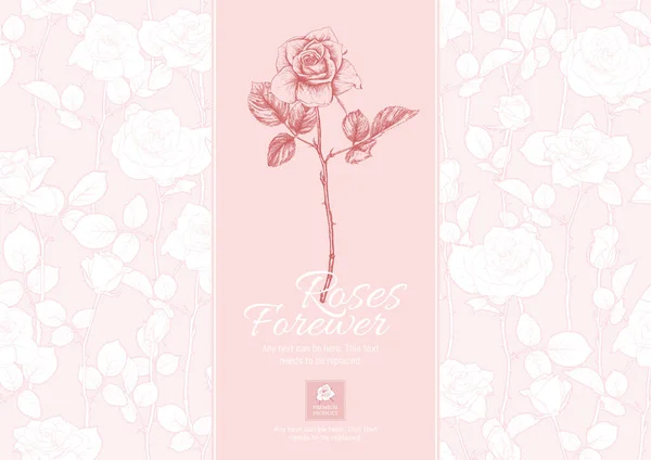 Ürün etiketi için güller çiçek şablonu — Stok Vektör
