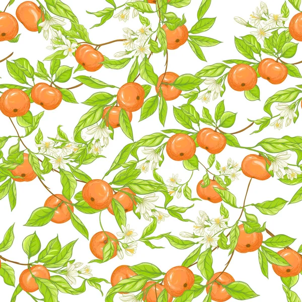 Mandarin, mandarin, trädgren med frukter, blommor och blad. — Stock vektor