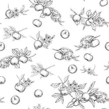 Mandalina, mandallı meyve, çiçek ve yapraklı..