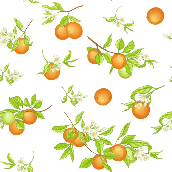 Orange tree branch with fruits, flowers and leaves. — Stock Vector