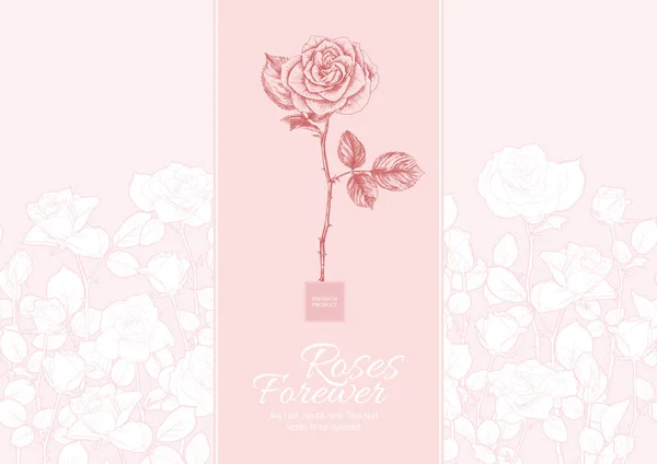 Fleurs de roses Modèle pour l'étiquette du produit — Image vectorielle