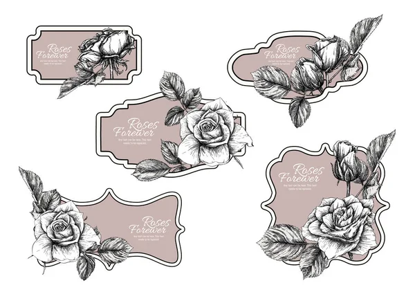 Ensemble d'étiquettes vintage avec fleurs roses. — Image vectorielle