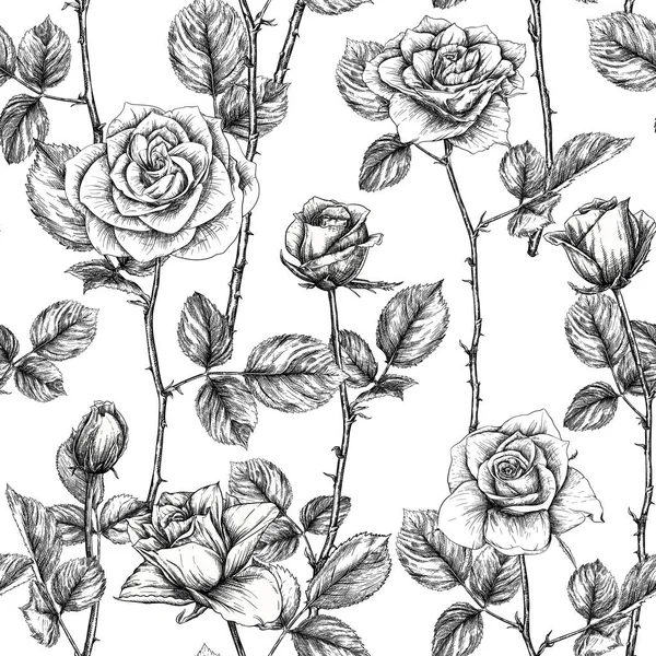 Naadloos patroon met rozen bloemen. — Stockvector