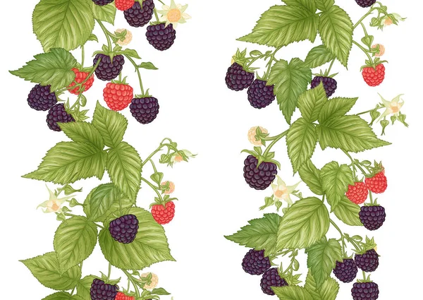 ブラックベリー。枝に果実を熟す。シームレスなパターン、背景. — ストックベクタ