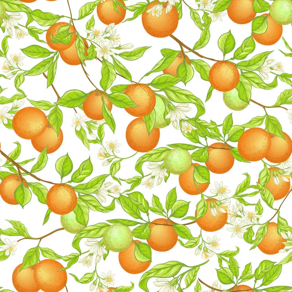 Orange tree branch with fruits, flowers and leaves. — Stock Vector
