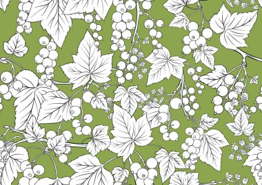 Frenk üzümü kırmızısı renginde. Olgun meyveler. Kusursuz kalıp, arkaplan.