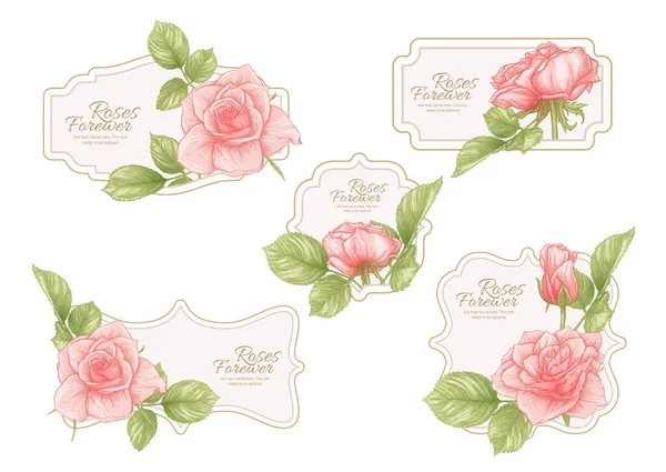 Set di etichette vintage con fiori di rosa. — Vettoriale Stock