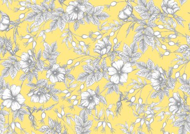 Çiçekli ve böğürtlenli gül kalçalar.