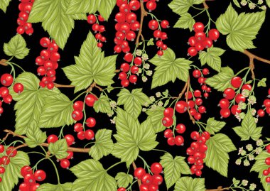 Frenk üzümü kırmızısı renginde. Olgun meyveler. Kusursuz kalıp, arkaplan