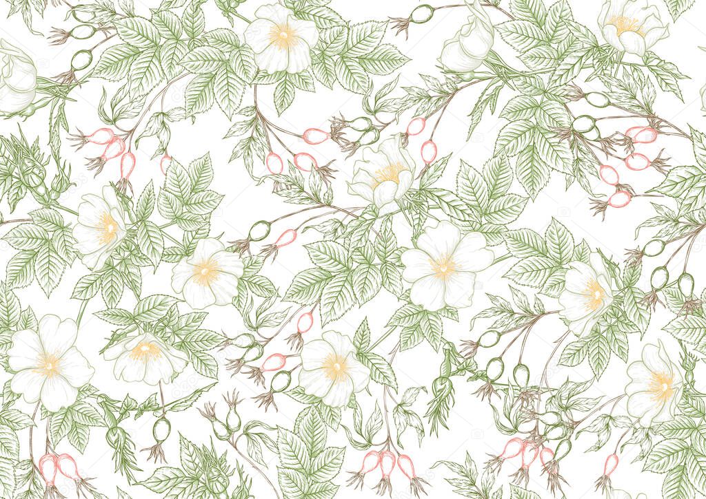 Rose hips with flowers and berries seamless pattern