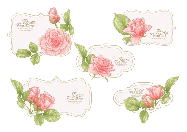 Set di etichette vintage con fiori di rosa. — Vettoriale Stock