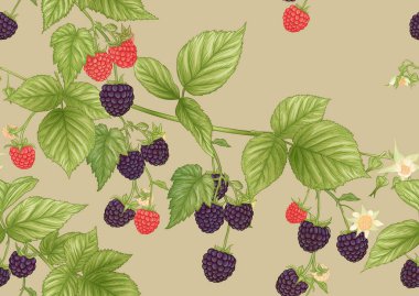 Blackberry. Ripe berries on branch. Seamless pattern, background. clipart