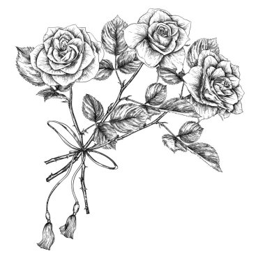 Bir buket gül. Klasik botanik çizimi
