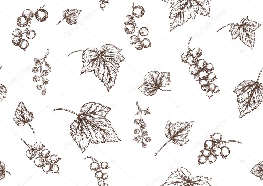 Blackcurrant, redcurrant. Ripe berries. Seamless pattern, background.