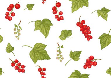 Frenk üzümü kırmızısı, olgun böğürtlen. Kusursuz kalıp, arkaplan.