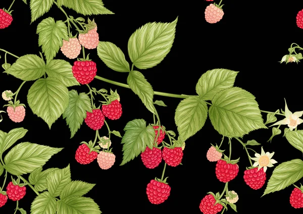 라즈베리. 잔 딸기가 가지에 있어. 바다없는 패턴, 배경. — 스톡 벡터