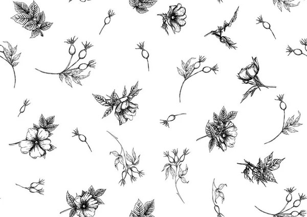 Hanches roses avec des fleurs et des baies motif sans couture — Image vectorielle