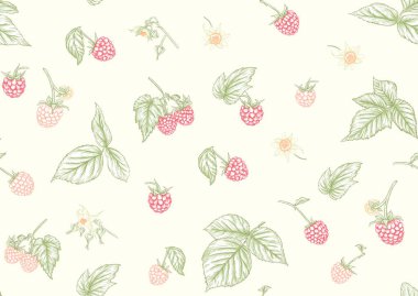 Malina 3 zz yapıyor.