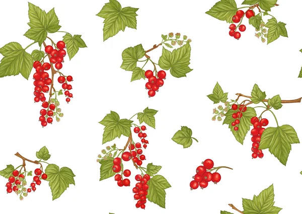 Red currant red, ripe berries. Seamless pattern, background. — Stock Vector