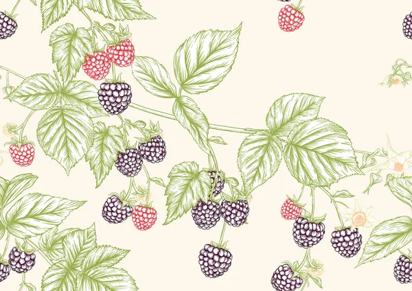 ブラックベリー。枝に果実を熟す。シームレスなパターン、背景. — ストックベクタ