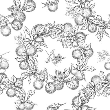 Meyveler, çiçekler ve yapraklarla portakal ağacı dalı.