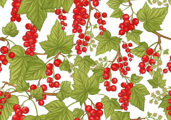 Red currant red, ripe berries. Seamless pattern, background. — Stock Vector