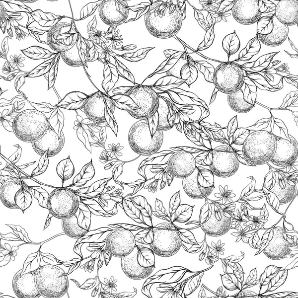 Meyveler, çiçekler ve yapraklarla portakal ağacı dalı.