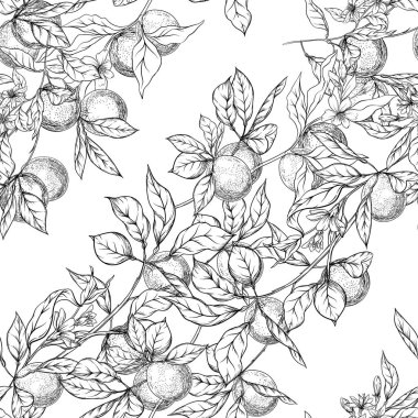 Meyveler, çiçekler ve yapraklarla portakal ağacı dalı.