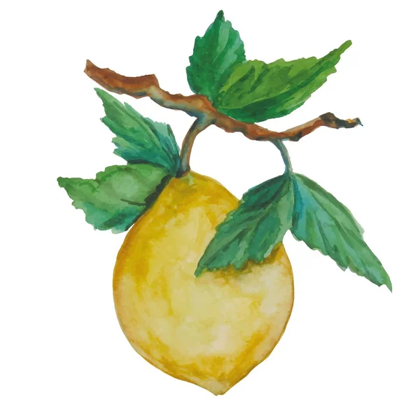 Watercolor lemon — Stock Photo, Image